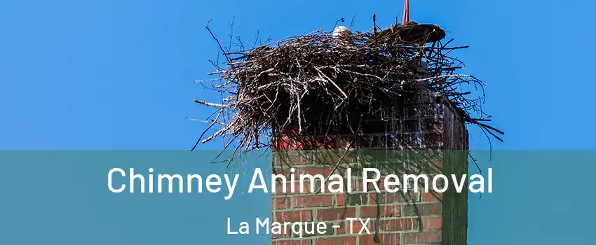  Chimney Animal Removal La Marque - TX