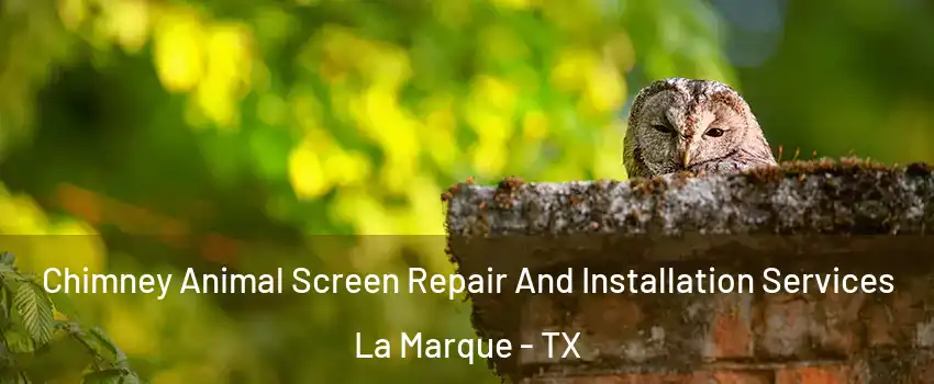  Chimney Animal Screen Repair And Installation Services La Marque - TX