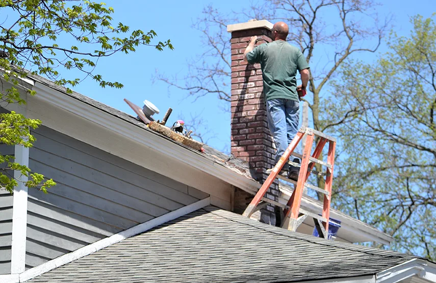 Chimney & Fireplace Inspections Services in La Marque, TX
