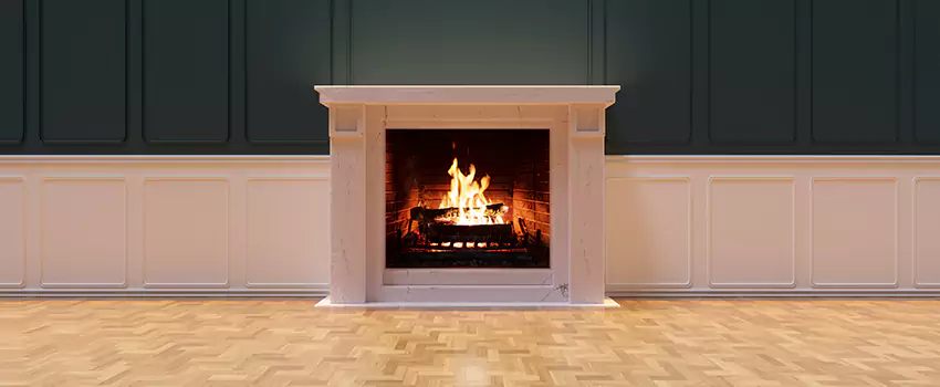 Napoleon Electric Fireplaces Inspection Service in La Marque, Texas