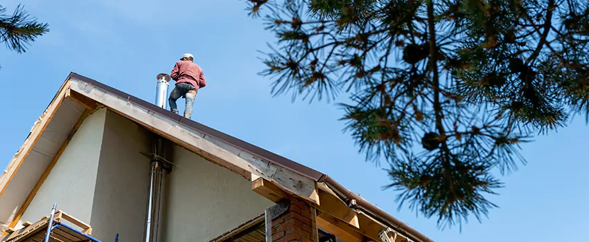 Birds Removal Contractors from Chimney in La Marque, TX