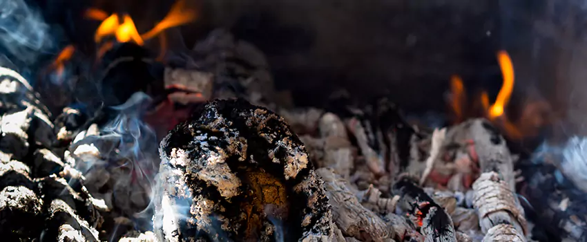 Creosote Removal Experts in La Marque, TX